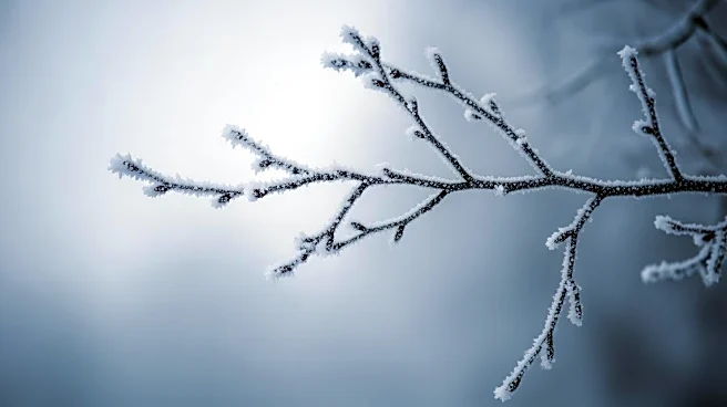 Maryland Braces for Extreme Cold Weather This Weekend