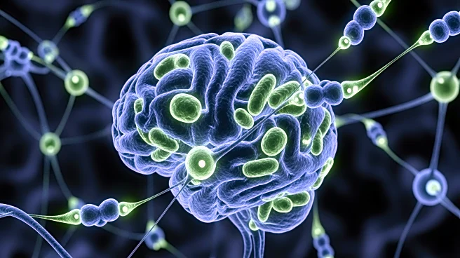 Study Reveals Gut Immune Cells' Role in Spreading Parkinson's Disease to the Brain