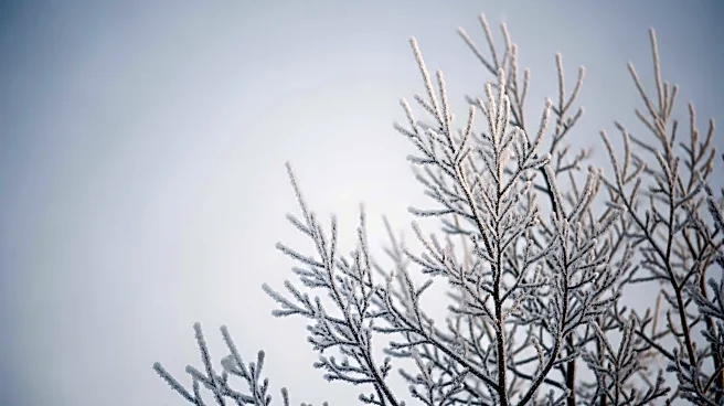 Extreme Cold Weather Expected in Maryland This Weekend