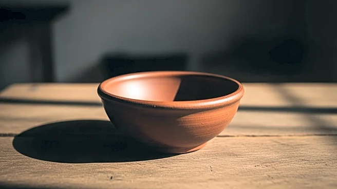 Pakistan's Economic Crisis: PM Sharif Calls for Self-Reliance Amid 'Begging Bowl' Economy