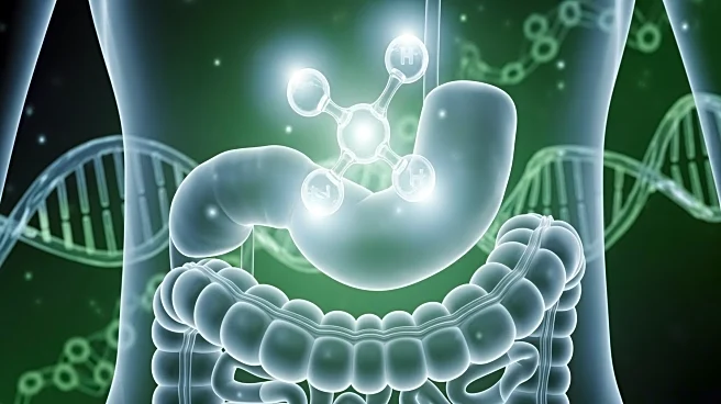 Study Reveals Thiamine's Role in Enhancing Gut Motility and Its Genetic Influence