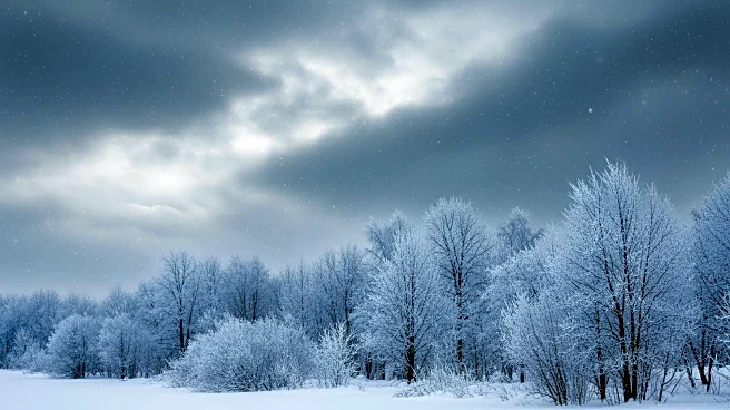 Bomb Cyclone Intensifies, Bringing Arctic Blast and Heavy Snow to U.S. East Coast