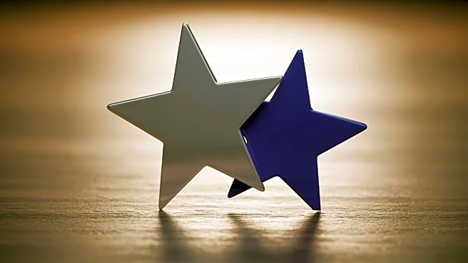 Democrat Taylor Rehmet Wins Texas State Senate Seat, Flipping Republican Stronghold