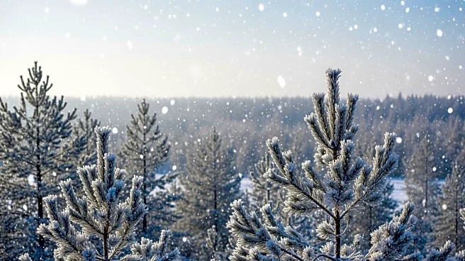 Pittsburgh Weather: Cold Temperatures Ease, More Snow Expected