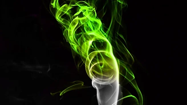 New Study Reveals Health Risks of E-Cigarettes Using Zebrafish Model