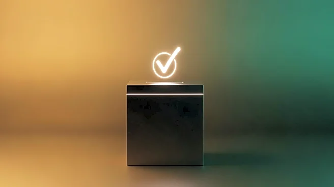 Costa Rican President's Successor Leads in Preliminary Election Results