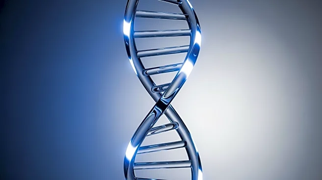 Weizmann Institute Study Reveals Genetics Account for 50% of Human Lifespan Variation