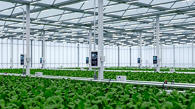 Uzbek Delegation Studies China's Agricultural Innovations to Enhance Local Farming