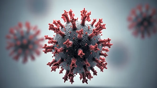 Nipah Virus Outbreak in India Raises Concerns Across Asia