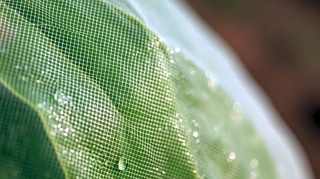 Colorado Senate Bill Proposes Stricter Regulations on Insecticide Use, Impacting Agriculture