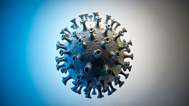 Global Virus Network Addresses Nipah Virus Outbreak in India, Highlights Low Global Risk