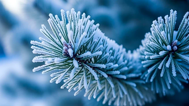 Frigid Temperatures Persist in Southeast Following Record Snowfall