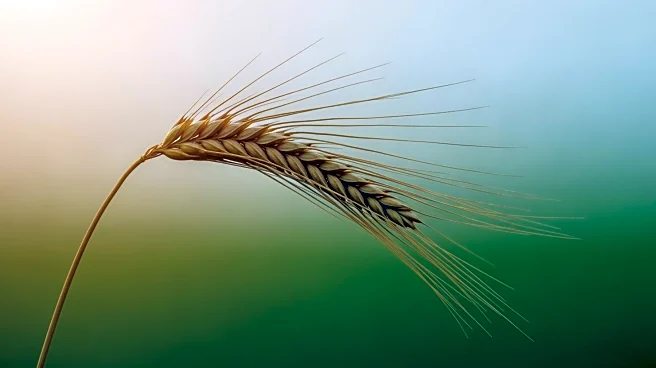 ABARES Outlook 2026 to Explore Future of Agriculture in Australia