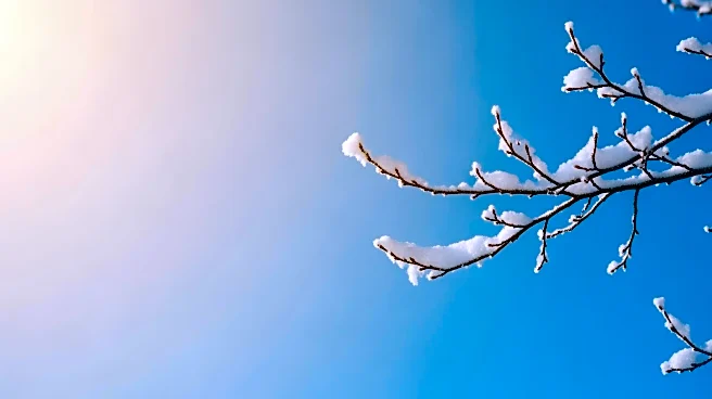 Maryland Experiences Weather Warm-Up with Potential Snowfall This Week