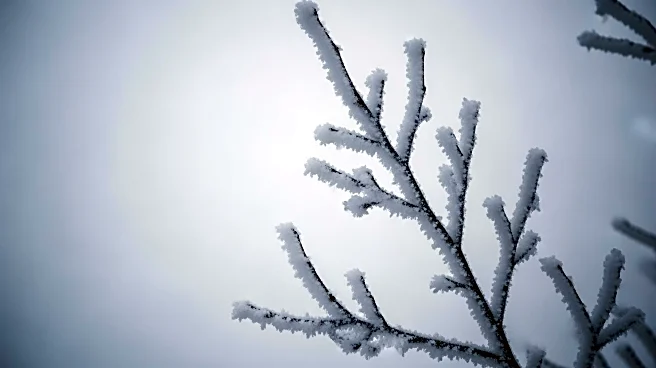 Polar Vortex Disruption to Prolong Extreme Cold in Eastern U.S.