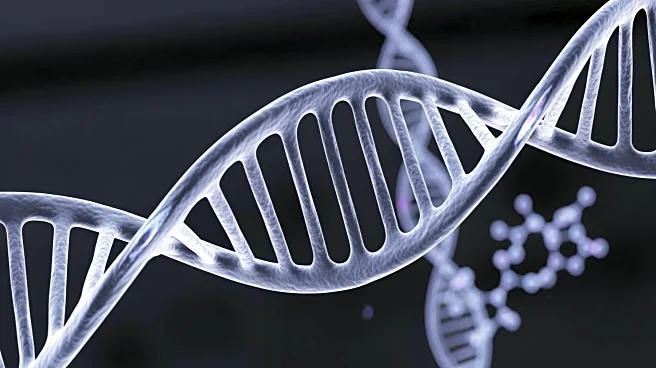 New RNA Molecule CUL1-IPA Linked to Cancer Patient Survival