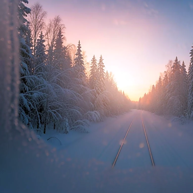 Amtrak Passenger Captures 'Narnia'-Like Conditions During Train Trip from New York City to Albany