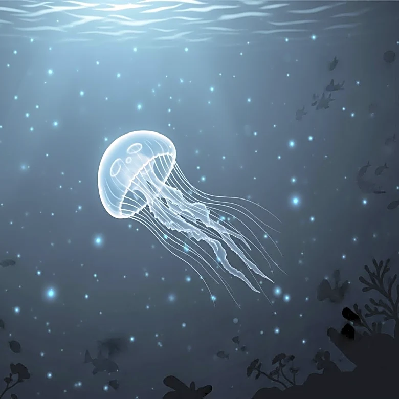 Argentinian Deep-Sea Expedition Unveils Rare Phantom Jellyfish and Biodiversity