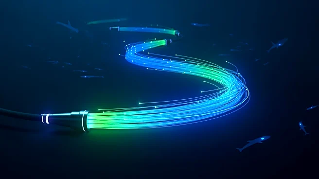 Jamaican Government Plans Connection to TAM-1 Subsea Cable to Enhance Bandwidth