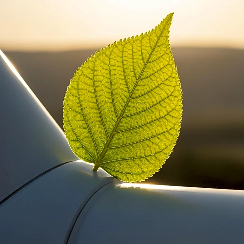 Indiana's Clean Energy Potential Hinges on Bold Policy Decisions