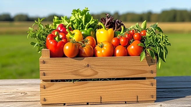 Montana Department of Agriculture Opens Grant Applications to Boost Specialty Crops