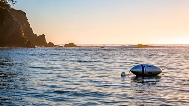 Catherine Breed Plans Historic Swim Along California's Coast to Promote Ocean Conservation