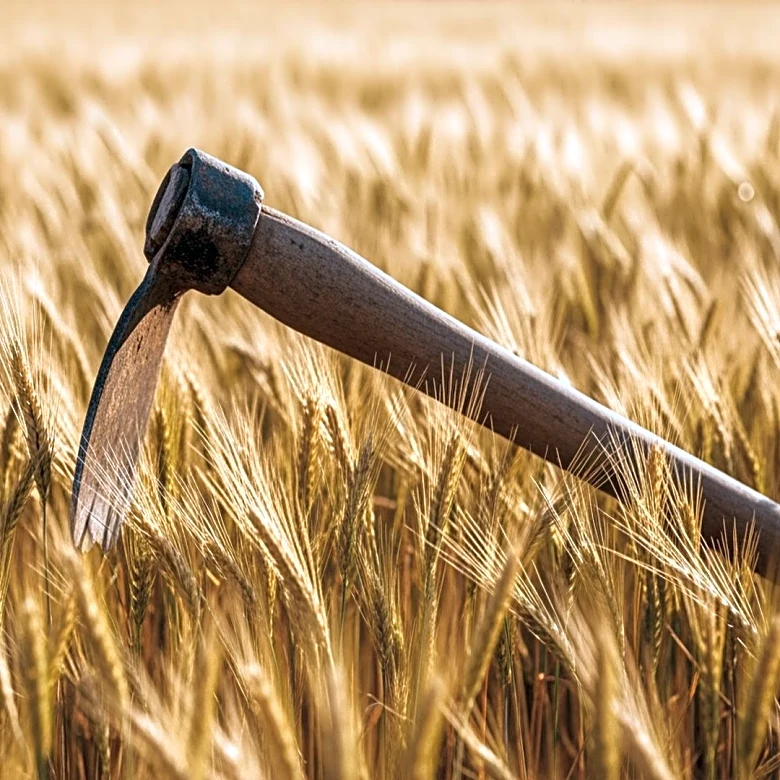 CropLife America Highlights Women's Roles in Agriculture During International Year of the Woman Farmer