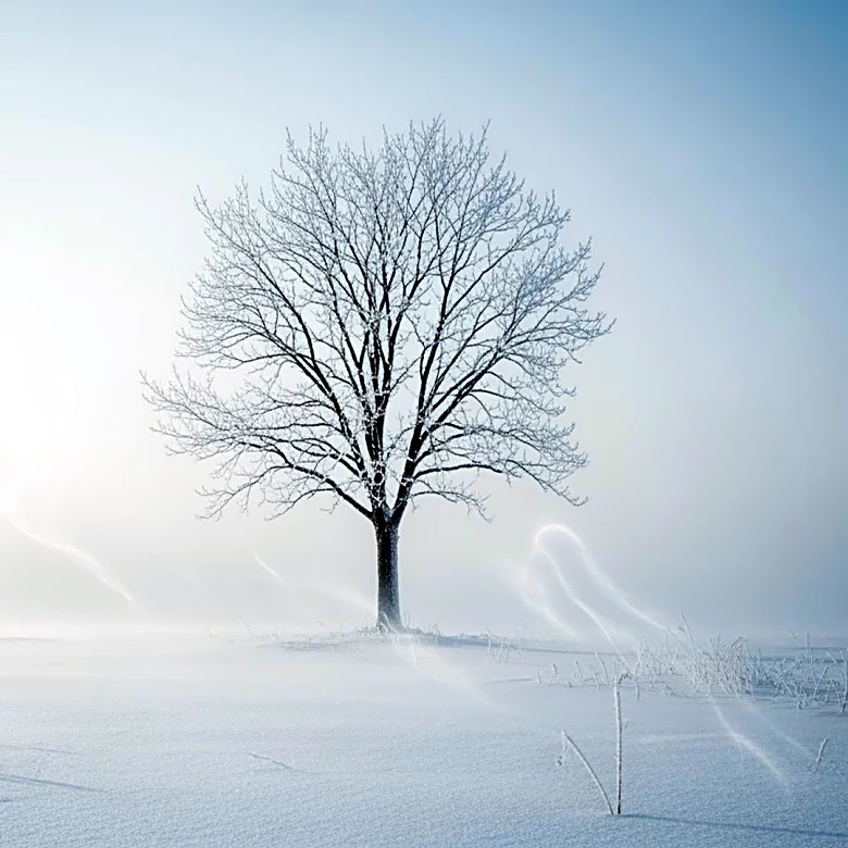 Extreme Cold Watch Issued for New York: Wind Chills Could Drop to 35 Below Zero