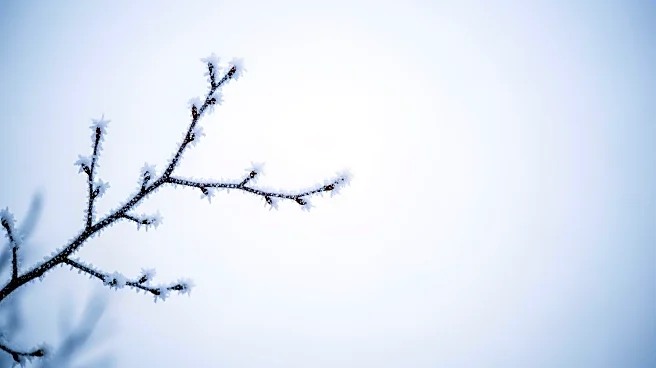 Extreme Cold Watch Issued for Western and Central New York Amid Dangerous Wind Chills