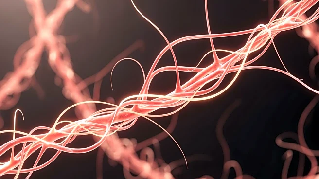 WSU Study Identifies Alternate Pathway in Arthritis Inflammation