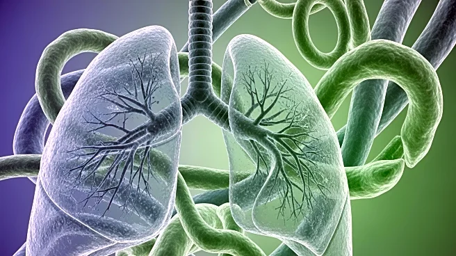 Study Explores Gut-Lung Microbial Dynamics in Children with Cystic Fibrosis Undergoing Treatment