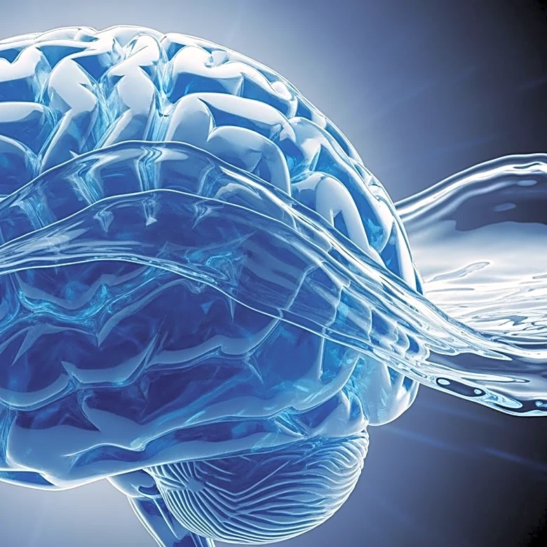 Study Reveals Yawning's Unique Impact on Brain Fluid Dynamics