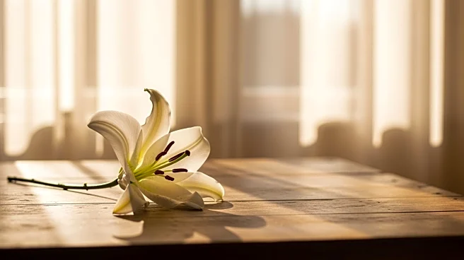 Obituary: Carol M. Baratka Passes Away at 88, Leaving a Legacy of Family and Community