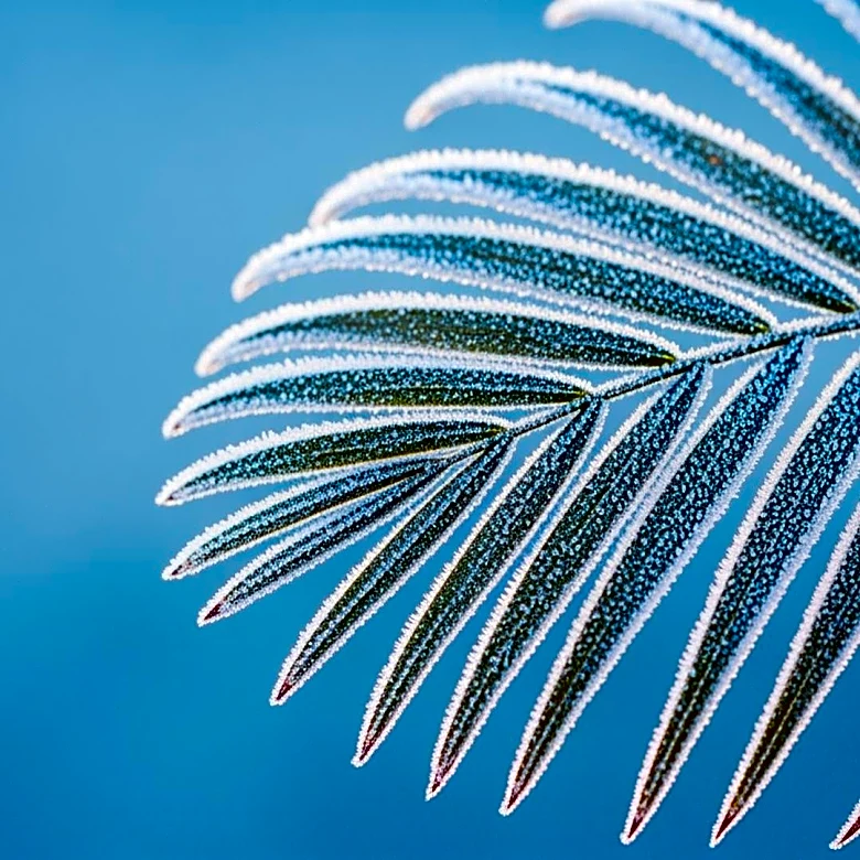 Cold Temperatures Expected to Return to South Florida