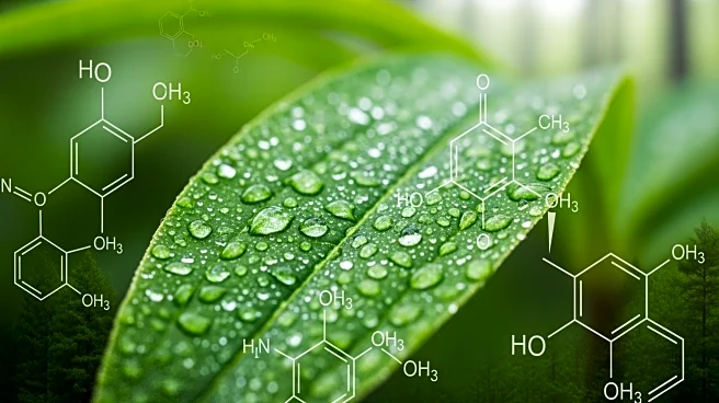 Global Increase in Pesticide Toxicity Raises Concerns for Wildlife and Ecosystems