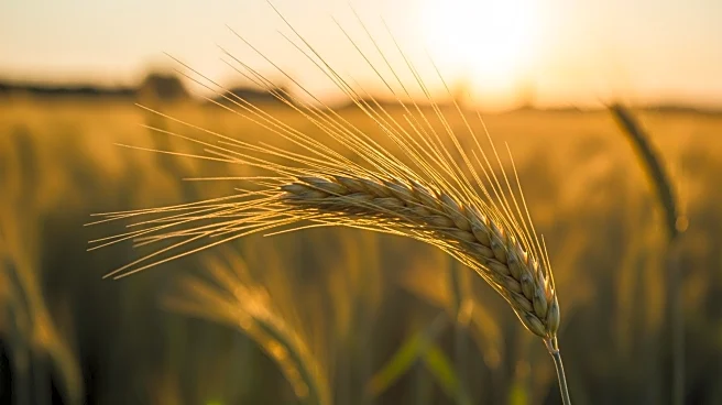 CropLife America Highlights Women's Vital Farm Roles During International Year of the Woman Farmer