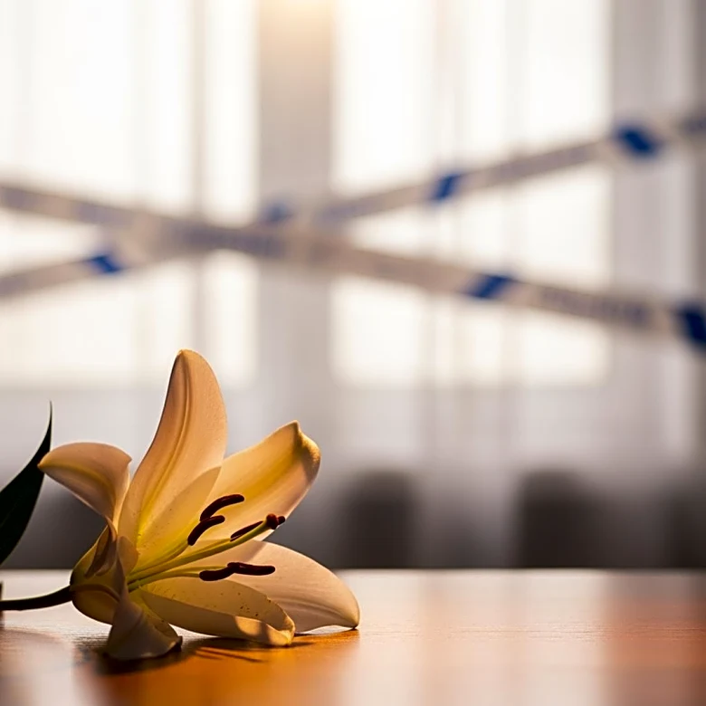 Chris Olsen, Brother of NFL Analyst Greg Olsen, Passes Away at 42 After Battling Brain Cancer