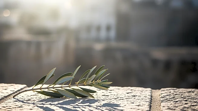 Ehud Barak's Remarks on Immigration Policy Spark Controversy in Israel