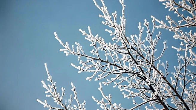 Extreme Cold Warning Issued for Parts of New Jersey and Pennsylvania Amid Severe Weather Conditions