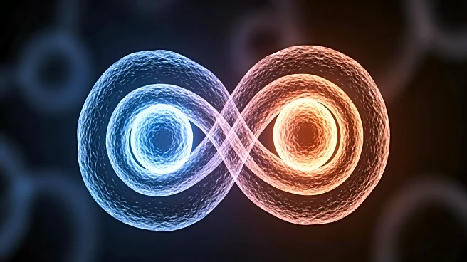 Sloan Kettering Study Reveals Dual Role of Treg Cells in Colorectal Cancer