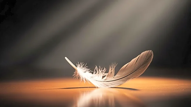 Hezbollah Accepts Resignation of Senior Official Wafiq Safa