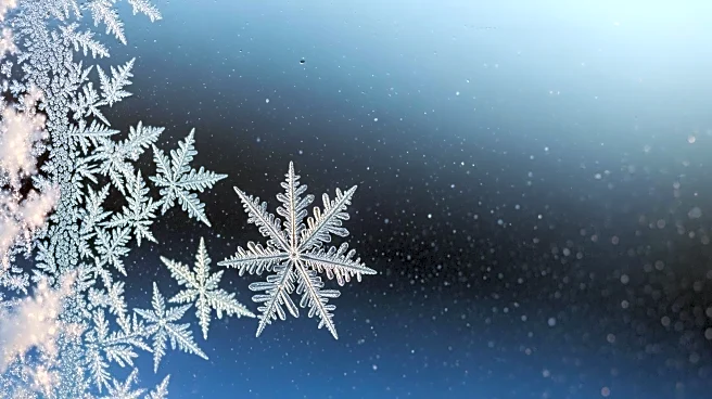 Philadelphia Braces for Snow Squalls and Extreme Cold Weather This Weekend