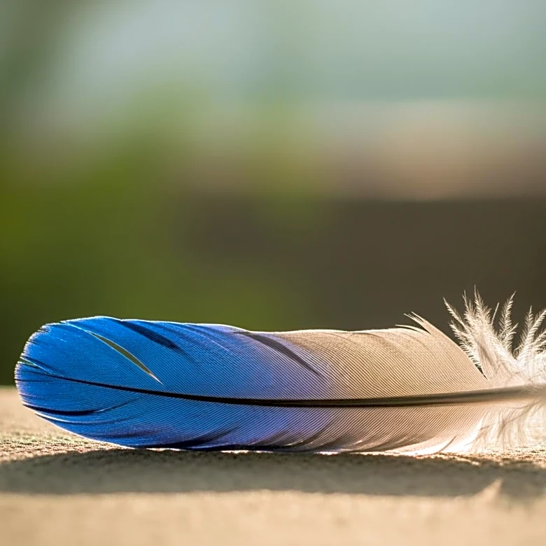 Bird Flu Outbreak in Tamil Nadu Prompts Statewide Surveillance Efforts