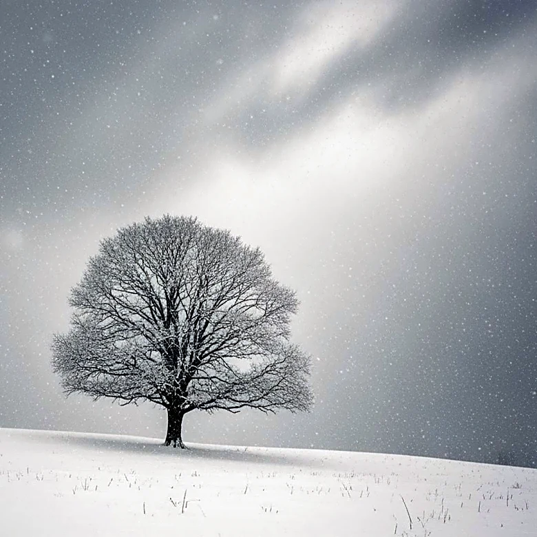 National Weather Service Issues Winter Storm Warning as Northeast Faces Near Blizzard Conditions