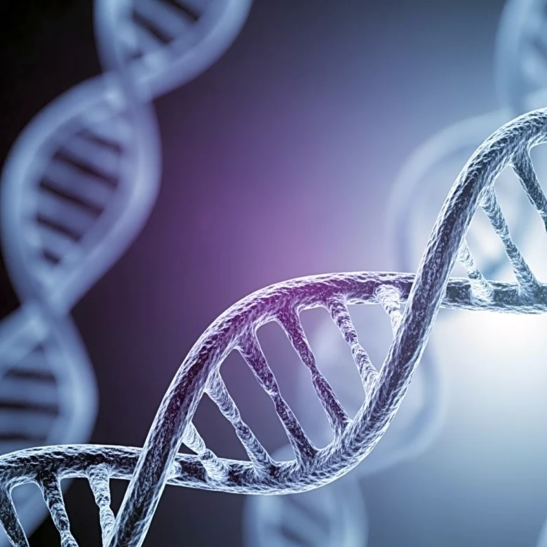 Baylor College of Medicine Uncovers Mechanism Behind Triple Negative Breast Cancer Metastasis