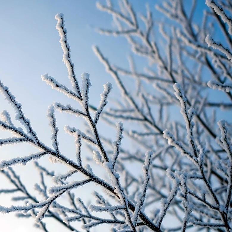 Extreme Cold Weather Alerts Issued for 100 Million Americans Across Northeast