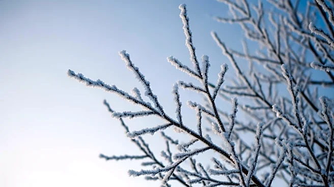 Extreme Cold Weather Alerts Issued for 100 Million Americans Across Northeast