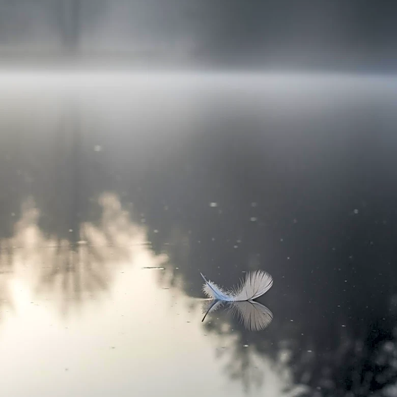 Body Believed to Be Lil Jon's Son Found in Georgia Pond