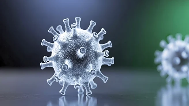 WHO Reports Nipah Virus Fatality in Bangladesh, Highlights Low International Spread Risk