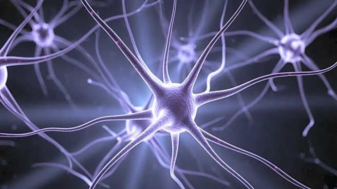 Glioblastoma Patient's Survival Highlights Potential of New Treatment Trial